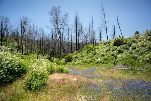 MLS #OR25107626 image #74