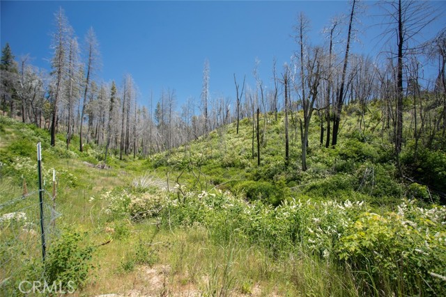 MLS #OR25107626 image #75