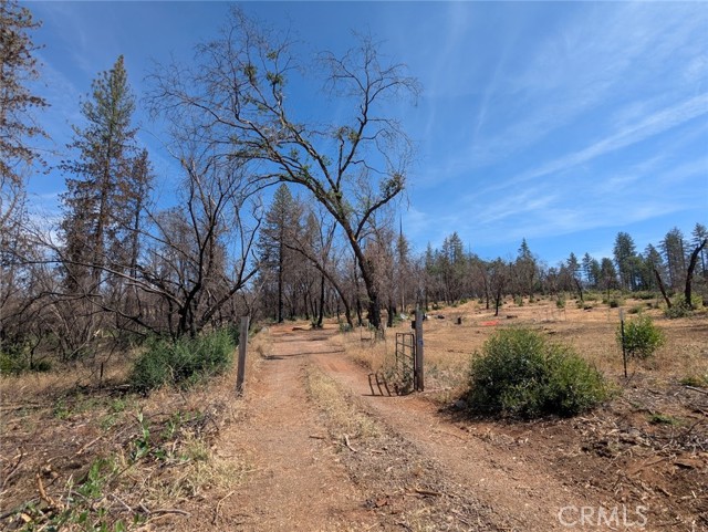 MLS #OR25133924 image #12