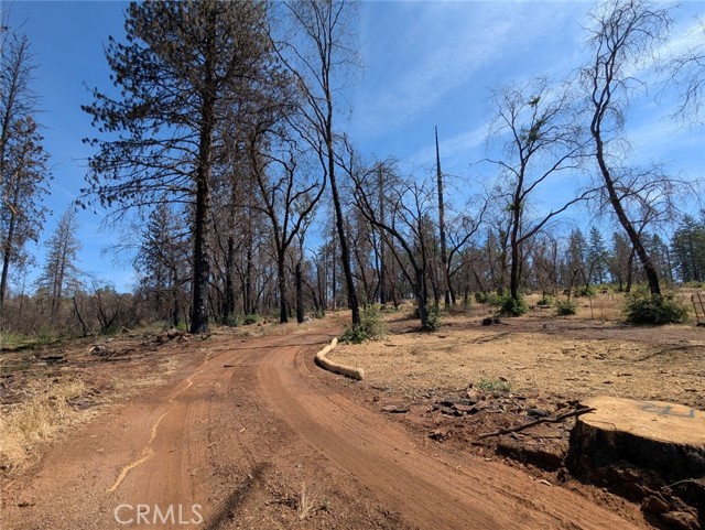 MLS #OR25133924 image #14