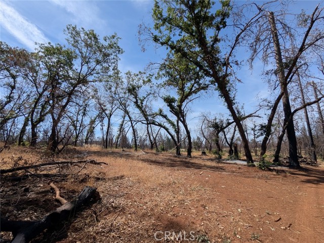 MLS #OR25133924 image #16