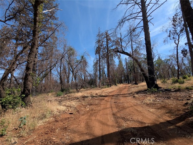 MLS #OR25133924 image #17