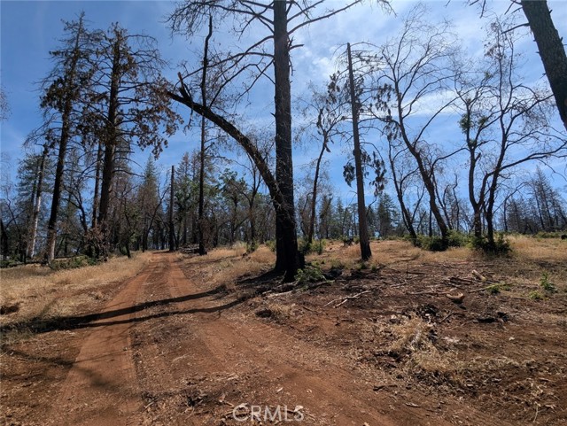 MLS #OR25133924 image #19