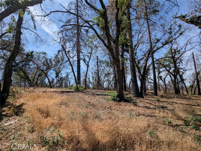 MLS #OR25133924 image #20