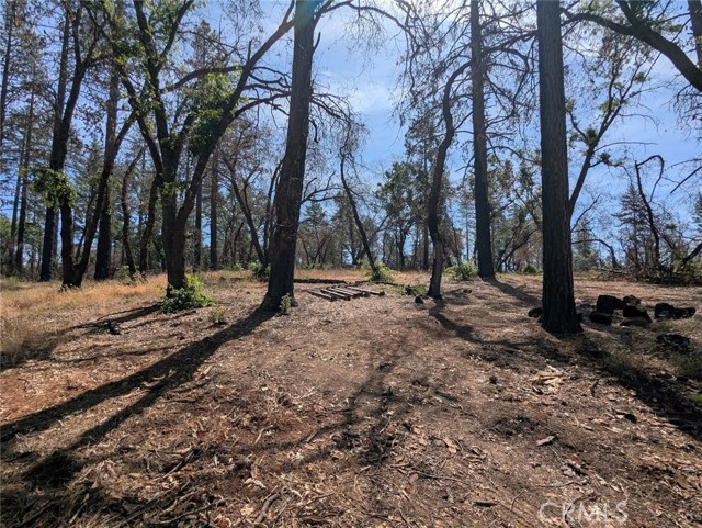 MLS #OR25133924 image #21