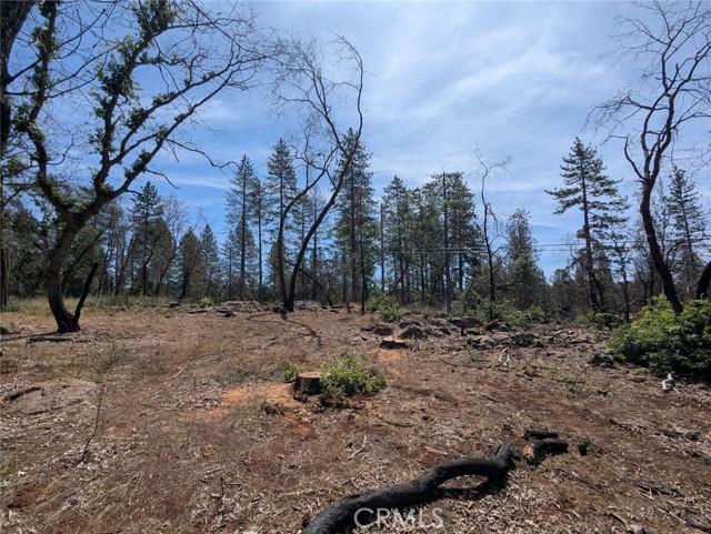 MLS #OR25133924 image #22