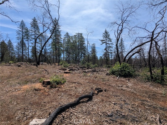 MLS #OR25133924 image #23