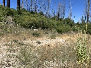 MLS #OR25146159 image #2