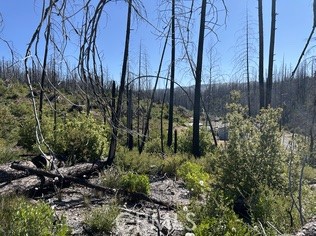 MLS #OR25146159 image #4