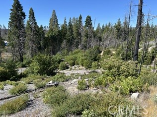 MLS #OR25146159 image #5