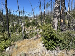 MLS #OR25146159 image #6