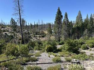 MLS #OR25146159 image #7