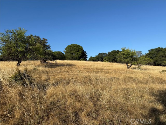 MLS #OR25150004 image #3