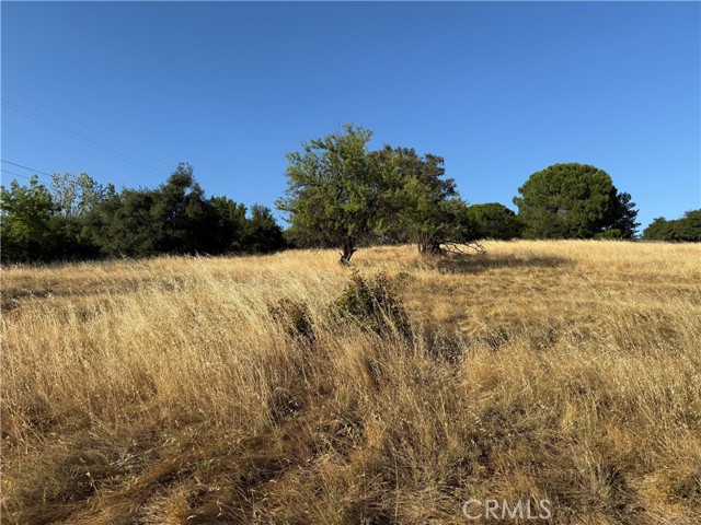 MLS #OR25150004 image #4