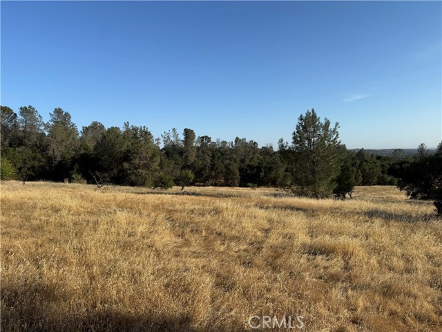 MLS #OR25150004 image #6