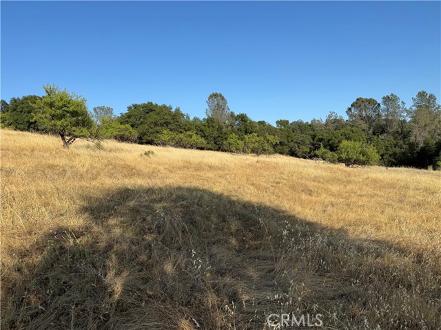 MLS #OR25150004 image #7