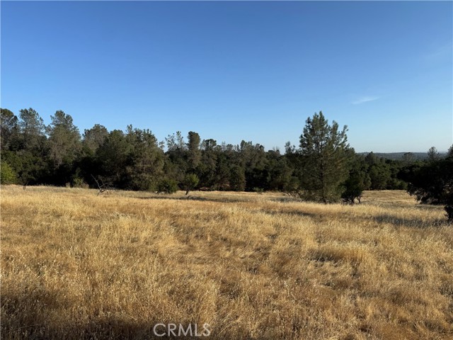 MLS #OR25150019 image #1