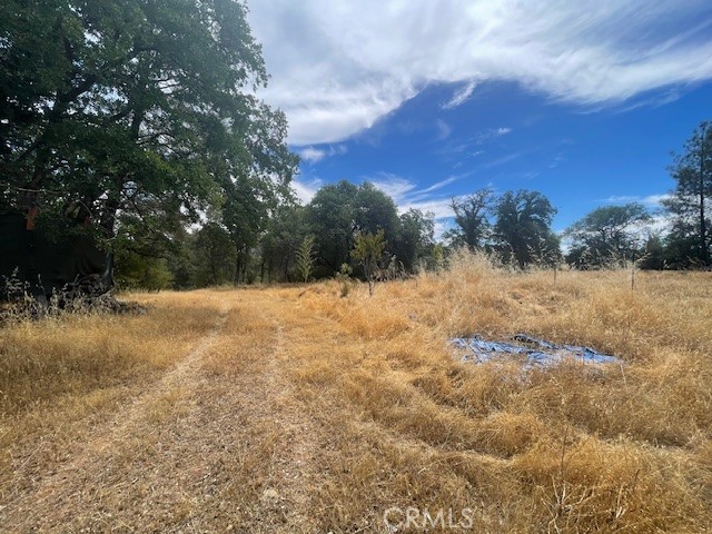 MLS #OR25153004 image #4