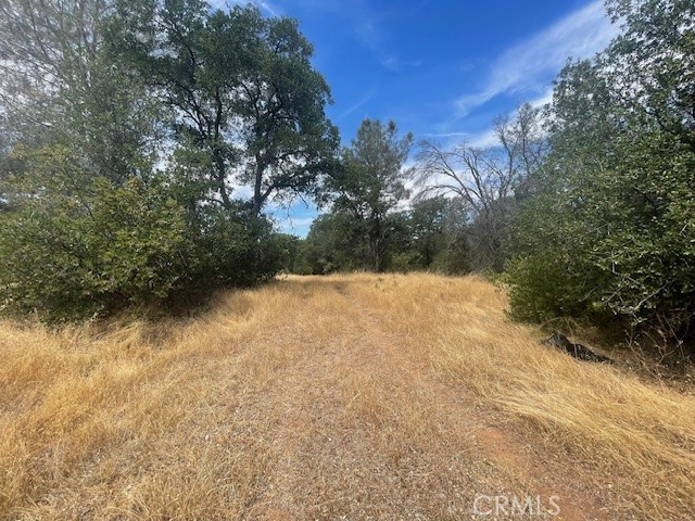 MLS #OR25153004 image #5