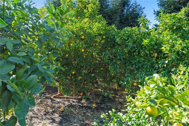 MLS #OR25252805 image #56