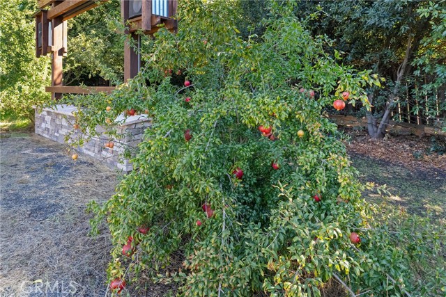 MLS #OR25252805 image #65