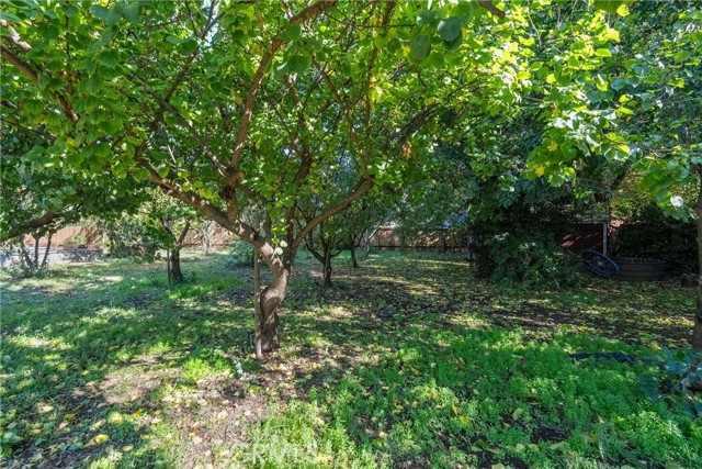 MLS #OR25252805 image #67