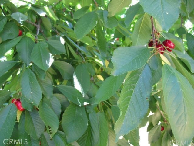 MLS #OR25278387 image #0