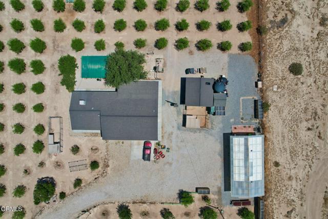 MLS #P1-20108 image #10