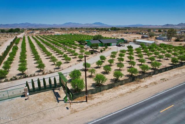 MLS #P1-20108 image #11