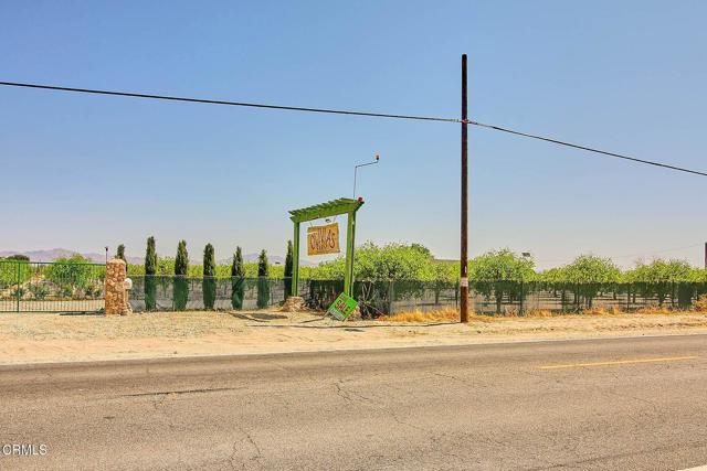 MLS #P1-20108 image #12