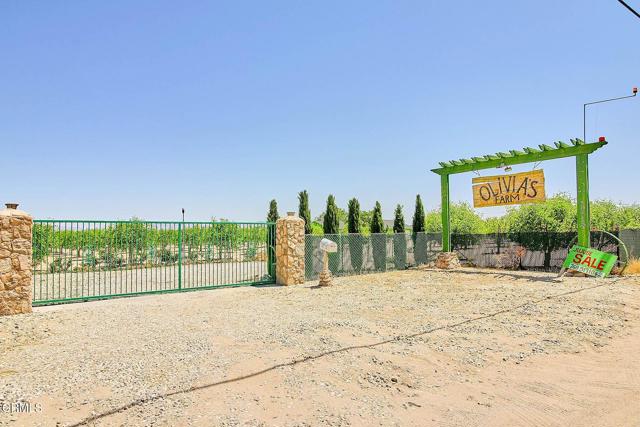 MLS #P1-20108 image #13