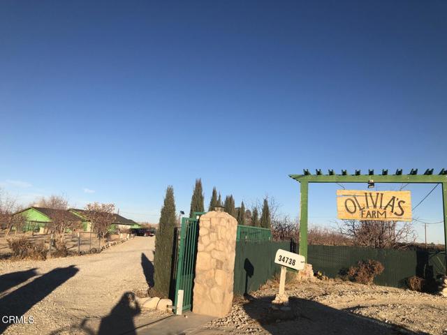 MLS #P1-20108 image #4