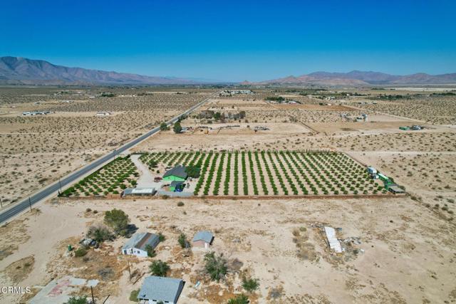 MLS #P1-20108 image #8