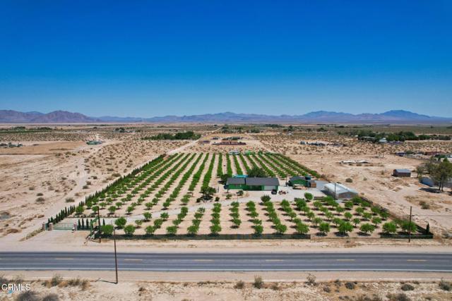 MLS #P1-20108 image #9