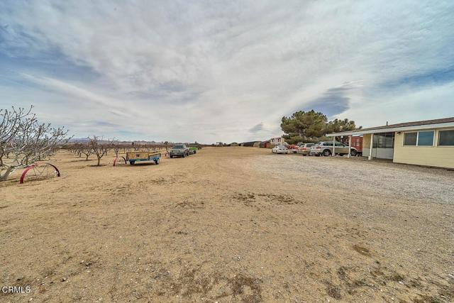 MLS #P1-21480 image #28