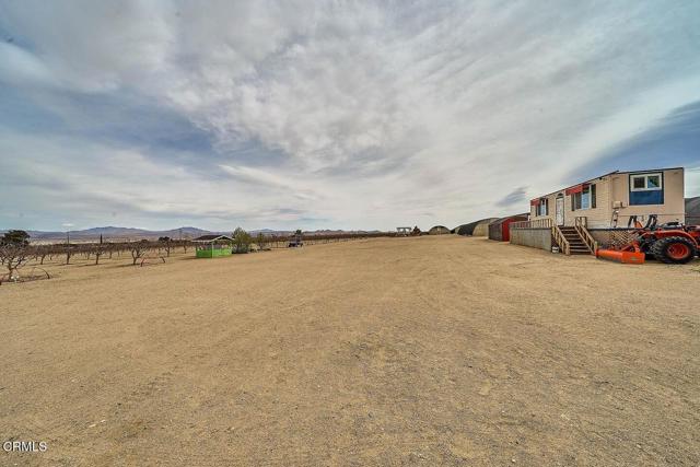 MLS #P1-21480 image #29