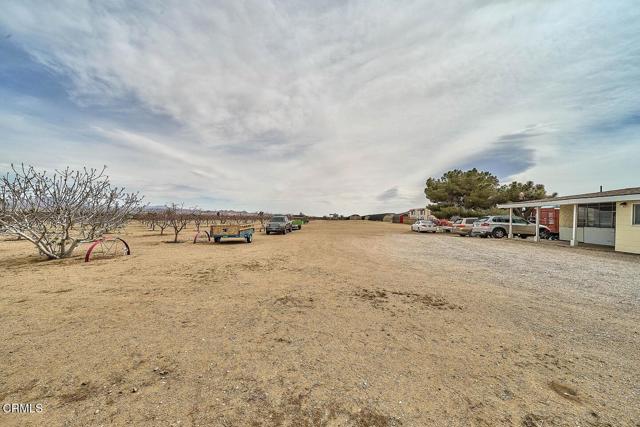 MLS #P1-21480 image #33