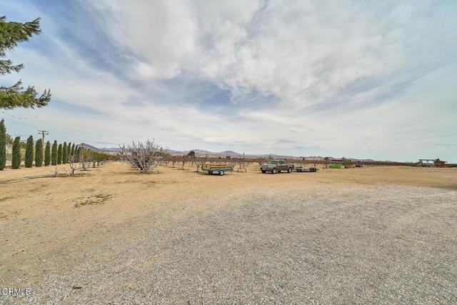 MLS #P1-21480 image #34