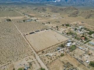 MLS #P1-21480 image #42