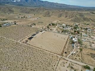 MLS #P1-21480 image #46