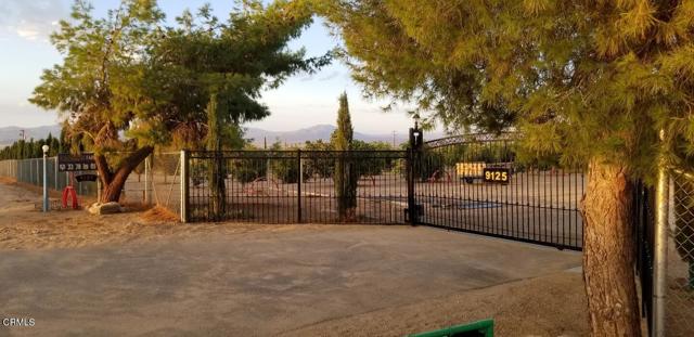 MLS #P1-21480 image #50