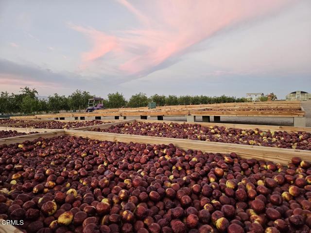 MLS #P1-21480 image #53