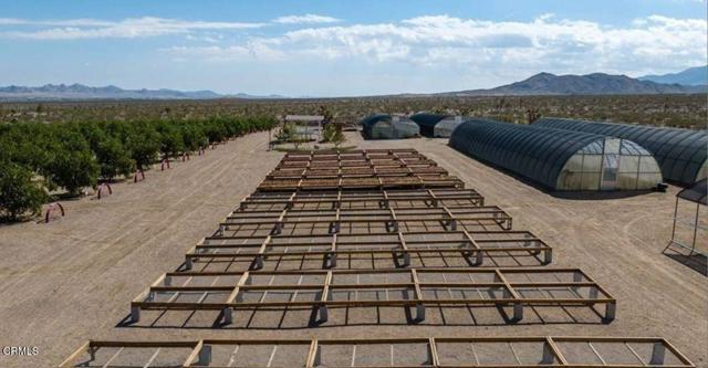 MLS #P1-21480 image #54