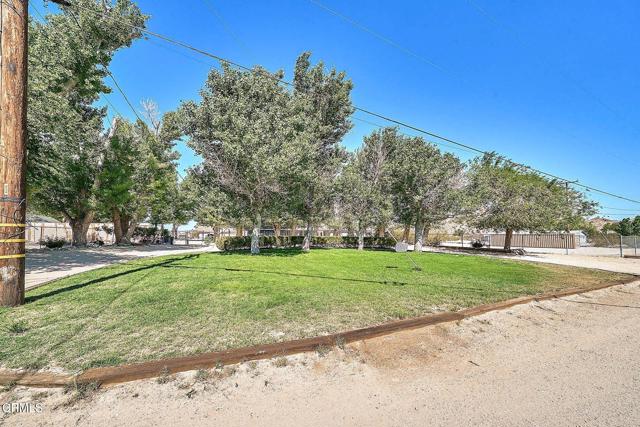 MLS #P1-21933 image #13