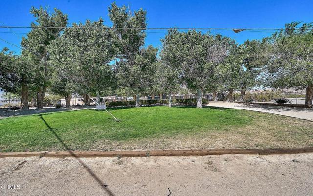 MLS #P1-21933 image #14