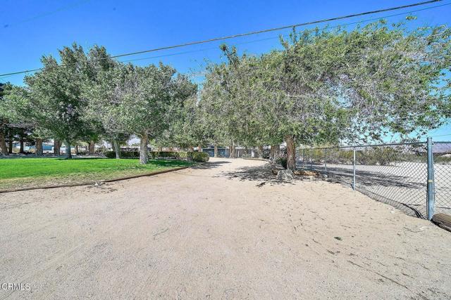 MLS #P1-21933 image #15