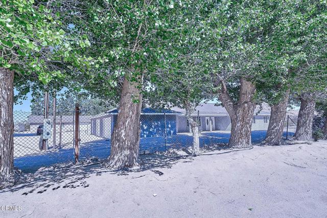 MLS #P1-21933 image #16