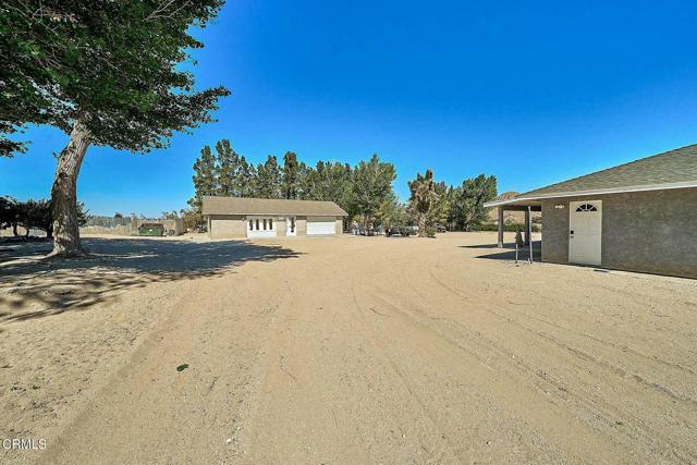 MLS #P1-21933 image #4