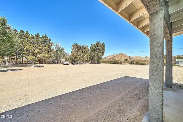 MLS #P1-21933 image #40