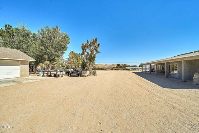 MLS #P1-21933 image #7